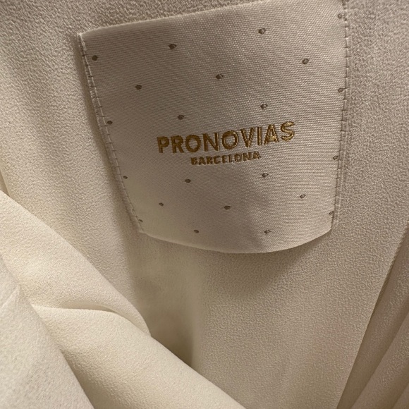 Pronovias EOS Lace Wedding Dress - Picture 7 of 16